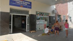 Un niño de 12 años, mordido por un perro