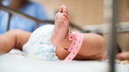 Baja natalidad: advierten que en la Maternidad el fenómeno entró en una meseta Baja natalidad: advierten que en la Maternidad el fenómeno entró en una meseta