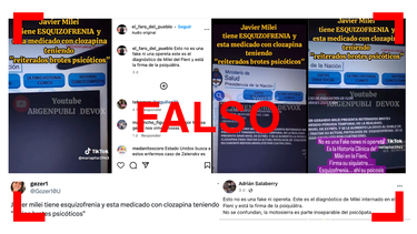 la historia clinica viral de javier milei es falsa