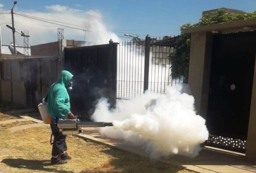 Fumigación. Es considerado el último recurso a aplicar.
