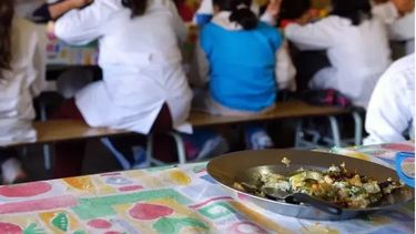 Aseguran que el programa PIO funciona con normalidad