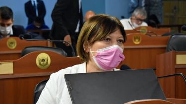 Autora. Adriana Díaz (FT) plantea la posibilidad de prevenir conflictos.