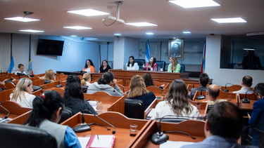 la comision de legislacion general avanzo en el analisis del nuevo codigo procesal de familia