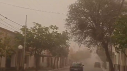 Captura de video. Créditos: Hugo Reynoso. Captura de video. Créditos: Hugo Reynoso.