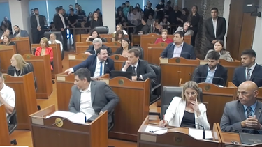 se cayo la sesion en diputados y se demora el tratamiento del proyecto fenix
