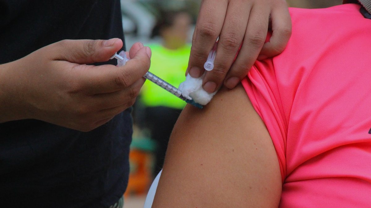 Registration begins to access the dengue vaccine