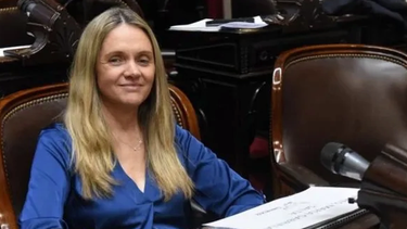 una diputada libertaria admitio que su hijo usa sus pasajes oficiales para ir a la facultad
