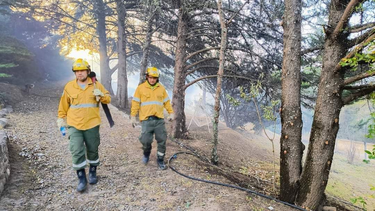 piden que particulares no se acerquen a la zona de los incendios