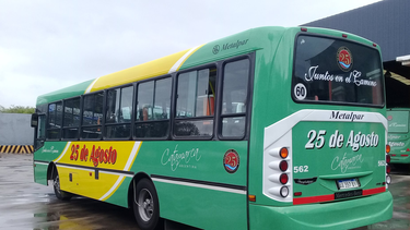 reconocen deficiencias en el transporte hacia el rodeo