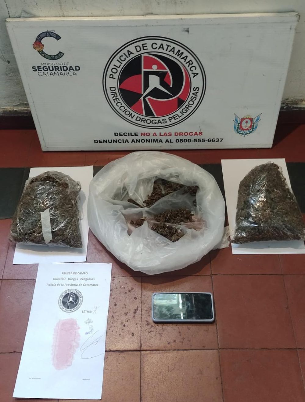 Operativo. Las bolsas con cogollos de marihuana.&nbsp;