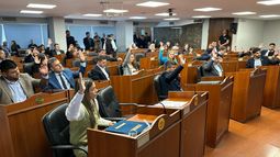 Diputados dio media sanción al proyecto que adecúa el nuevo Régimen Penal Juvenil