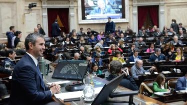 Dudas.Existe un creciente debate respecto de si los diputados pueden insistir enalgunos temas que fueron rechazados por los senadores.