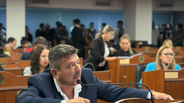 ledesma: galan debe tener algun problema de audicion porque sigue sin presentar proyectos