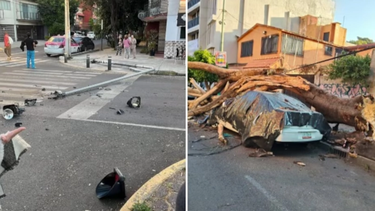 video: impactantes imagenes del sismo en la ciudad de mexico