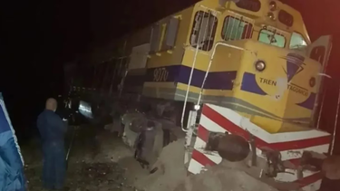 un tren que iba a la patagonia descarrilo tras chocar con un toro