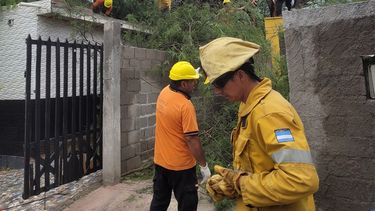 el director de defensa civil dijo que tienen 1800 reclamos tras el temporal