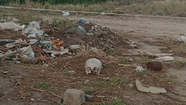 Crñaneo. Fue encontrado en un loteo en Valle Viejo