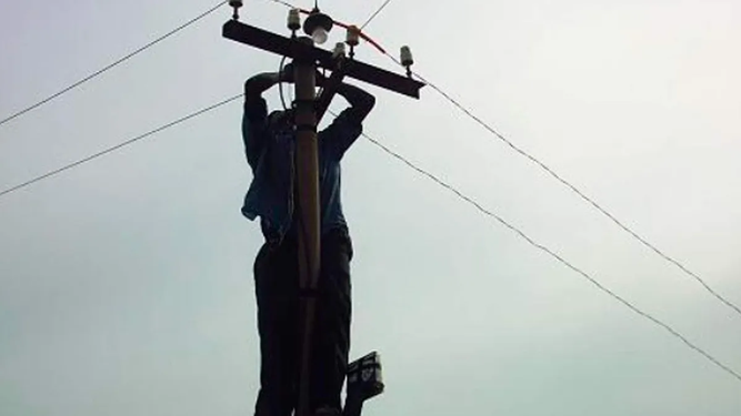 La luz o la vida