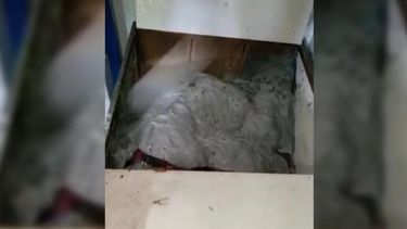 Mató a su esposo y lo sepultó con cemento en un ropero: Lo hice porque abusó de mi hijo