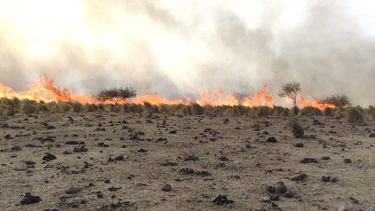 se controlo el incendio forestal en el cerro ancasti