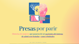 Presas Por Parir: mujeres que pasaron de ser pacientes del sistema de salud a ser tratadas como criminales