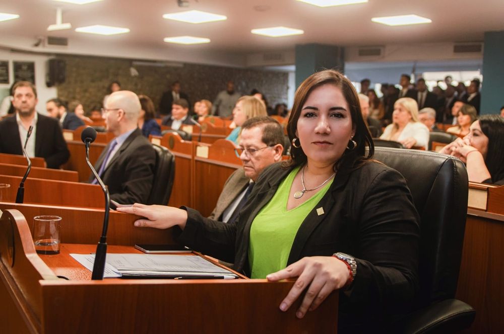 Planteo. Silvana Carrizo, presidenta de bloque.
