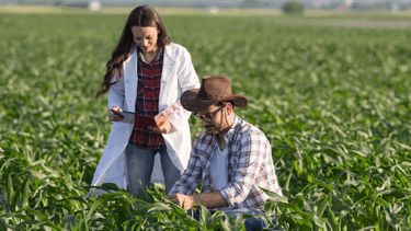 Veterinarios y agrónomos piden que Agricultura y Ganadería sean ministerio