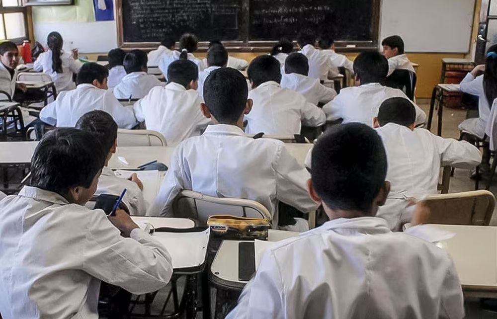 Derrumbe. Un estudio de la Universidad Austral complementó las pruebas pisa con datos alarmantes.