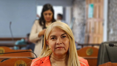 La diputada provincial Cristina Gómez (UCR) propone mejorar la seguridad en los Hospitales y Centros de Salud.