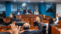 El oficialismo quiere aprobar hoy la suspensión de las PASO