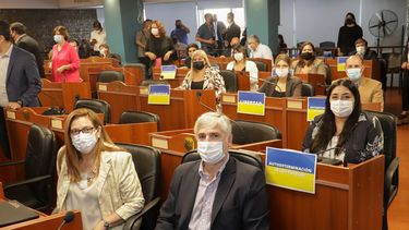 banderas de ucrania en la primera sesion extraordinaria en diputados