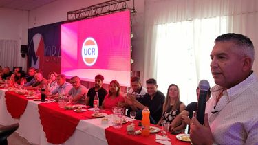 Aspiraciones. Gómez dijo que tiene fuerzas para representar a la UCR.