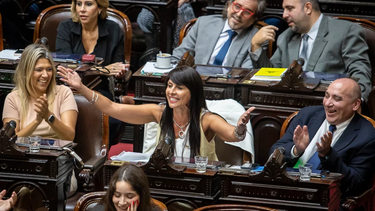 quienes son los diputados que renunciaran a sus bancas el proximo miercoles