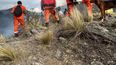 la superficie afectada asciende a  296 hectareas