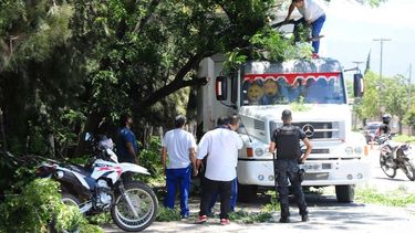 Estacionaron y una rama les cayó encima
