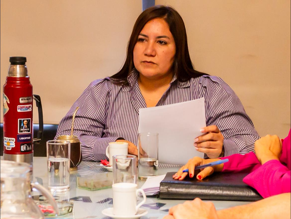 Carrizo cuestionó el rumbo provincial: No hay modelo de desarrollo: hay administración de la dependencia