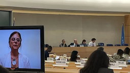Juristas denuncian a Milei ante la ONU por violaciones graves