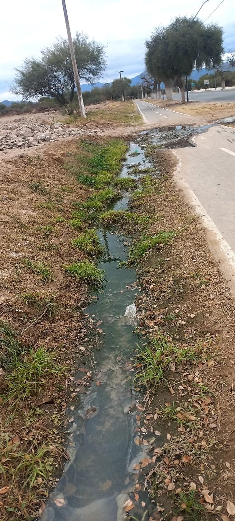 Camino a la Gruta