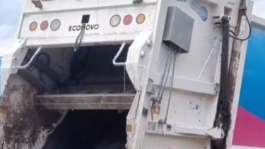 denunciaron que un perro fue arrollado y trabajadores lo arrojaron a un camion recolector