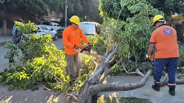 defensa civil refuerza las tareas de prevencion ante el fenomeno de el nino