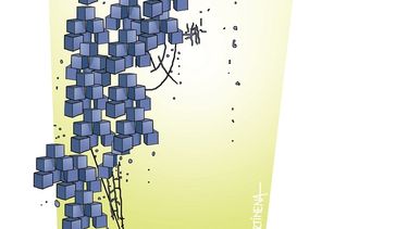 El país fallido