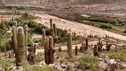 Una decisión estratégica Una decisión estratégica