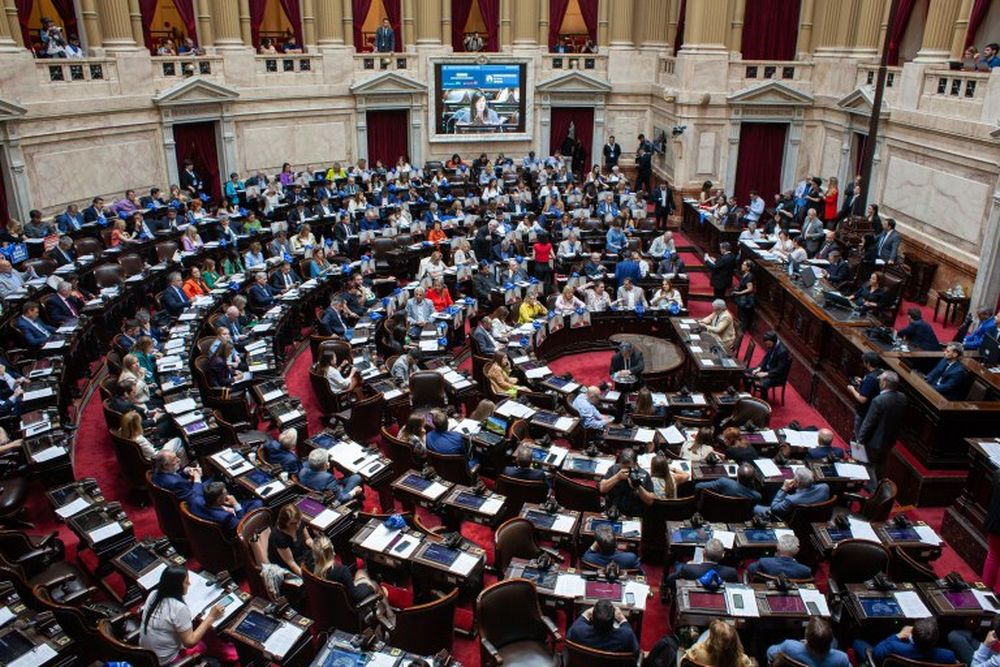 Sesión en la Cámara de Diputados.&nbsp;