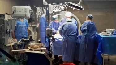 Primeros operativos  de ablación de órganos