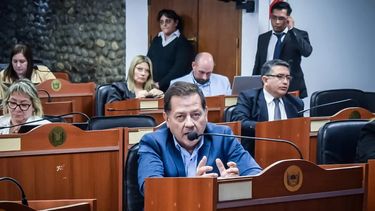 sin tratamiento, quedo rechazado el proyecto para recortar gastos de la politica