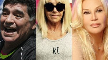 susana gimenez fue imputada por haber salteado un bozal legal