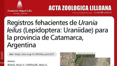 jovenes de andalgala confirman un hallazgo cientifico local