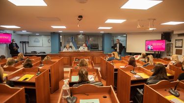 la legislatura llevo adelante un conversatorio sobre cancer de mama y acoso laboral