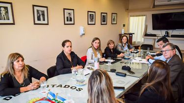 Diputados recibió a Juezas de Familia
