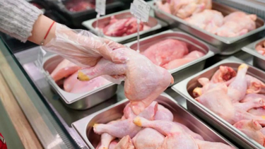 por primera vez en la historia, el pollo es la carne mas consumida en argentina